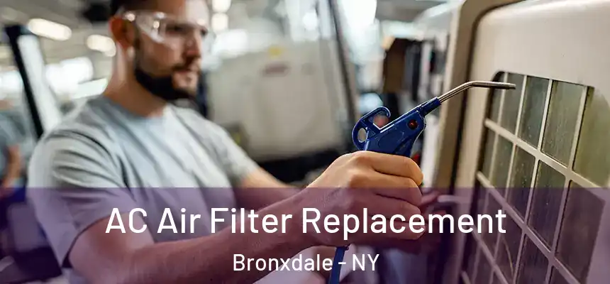  AC Air Filter Replacement Bronxdale - NY