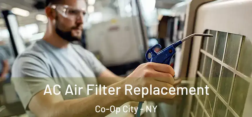  AC Air Filter Replacement Co-Op City - NY