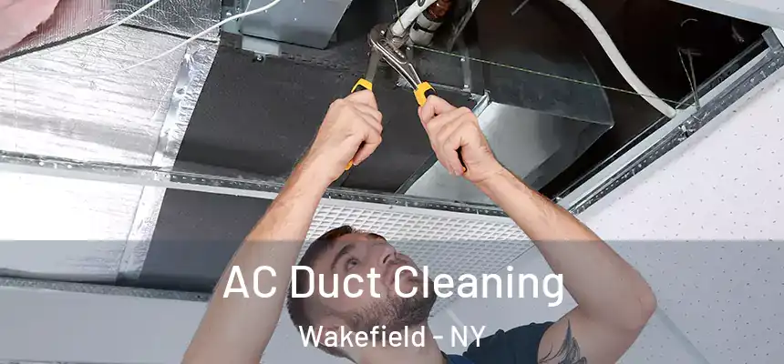  AC Duct Cleaning Wakefield - NY