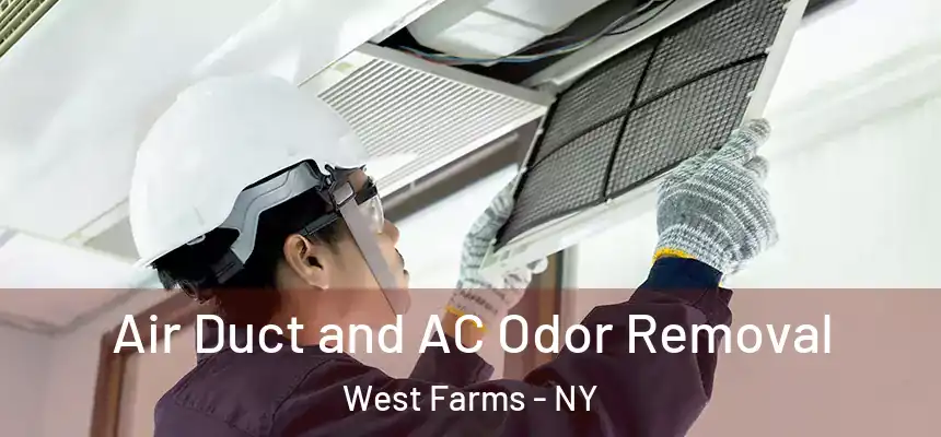Air Duct and AC Odor Removal West Farms - NY