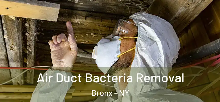  Air Duct Bacteria Removal Bronx - NY
