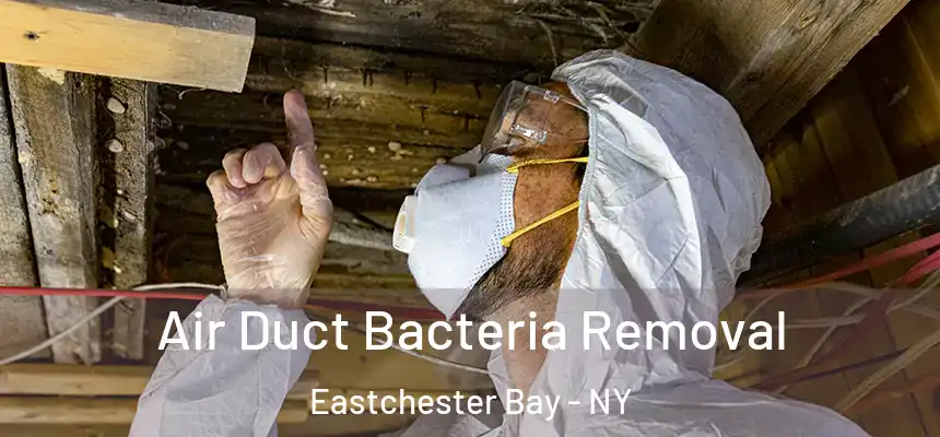 Air Duct Bacteria Removal Eastchester Bay - NY