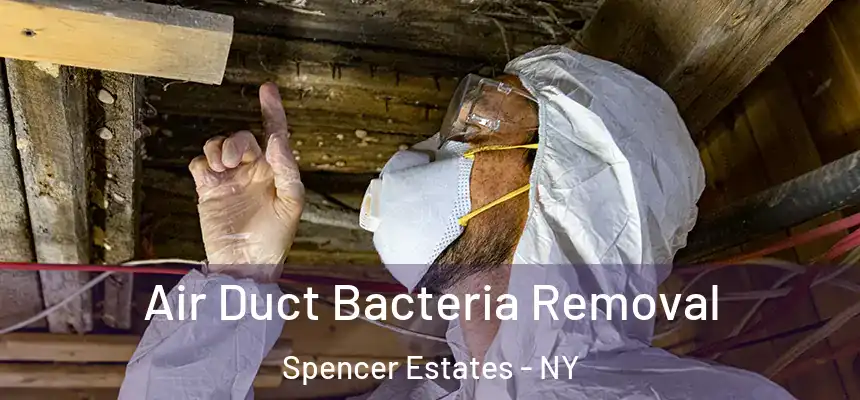  Air Duct Bacteria Removal Spencer Estates - NY