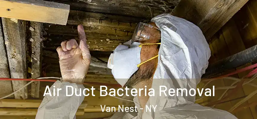 Air Duct Bacteria Removal Van Nest - NY