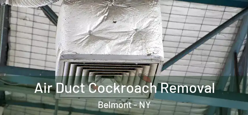 Air Duct Cockroach Removal Belmont - NY