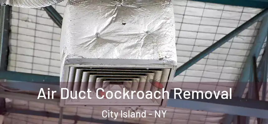 Air Duct Cockroach Removal City Island - NY