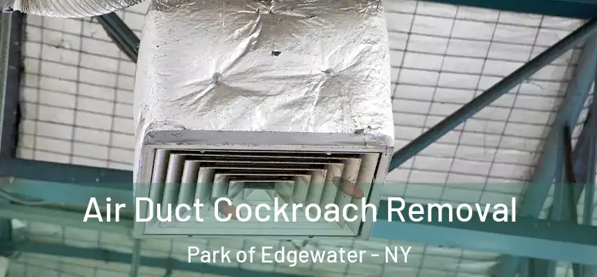  Air Duct Cockroach Removal Park of Edgewater - NY