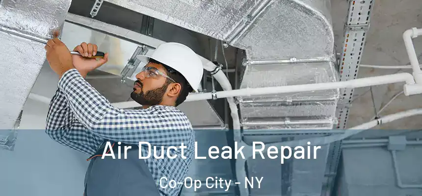 Air Duct Leak Repair Co-Op City - NY