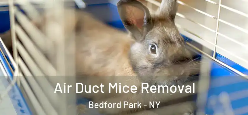Air Duct Mice Removal Bedford Park - NY