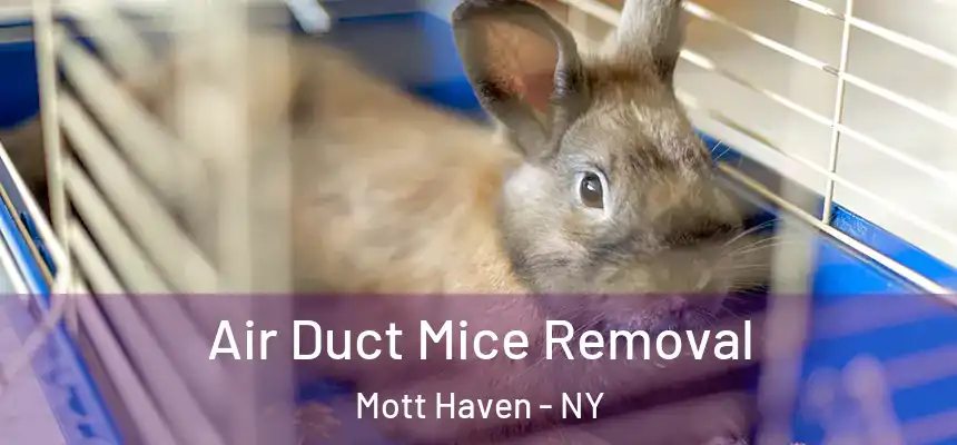 Air Duct Mice Removal Mott Haven - NY