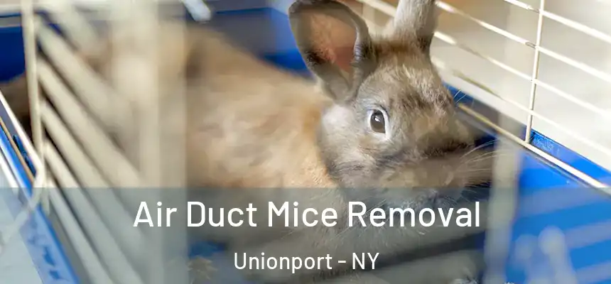  Air Duct Mice Removal Unionport - NY