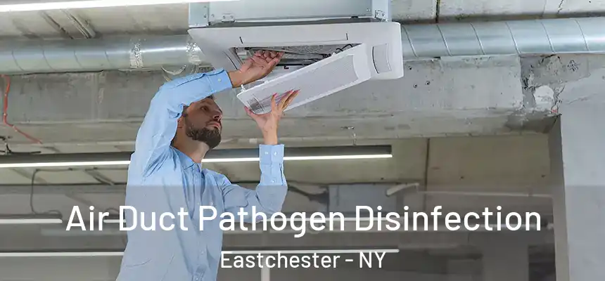 Air Duct Pathogen Disinfection Eastchester - NY