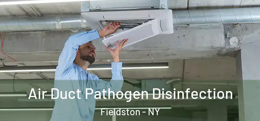 Air Duct Pathogen Disinfection Fieldston - NY