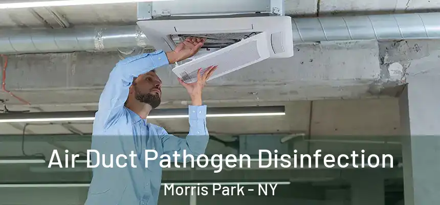 Air Duct Pathogen Disinfection Morris Park - NY