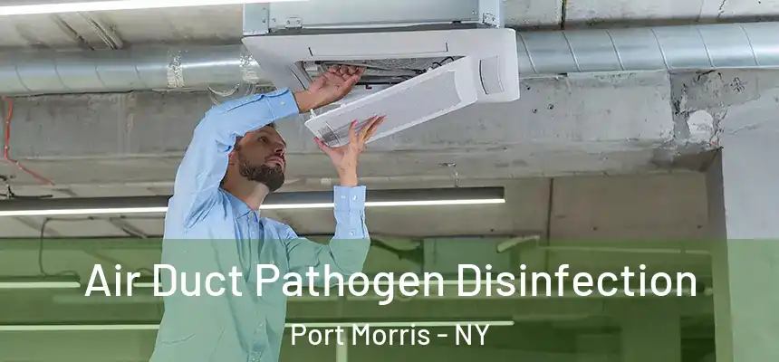 Air Duct Pathogen Disinfection Port Morris - NY