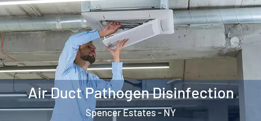  Air Duct Pathogen Disinfection Spencer Estates - NY