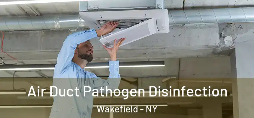  Air Duct Pathogen Disinfection Wakefield - NY