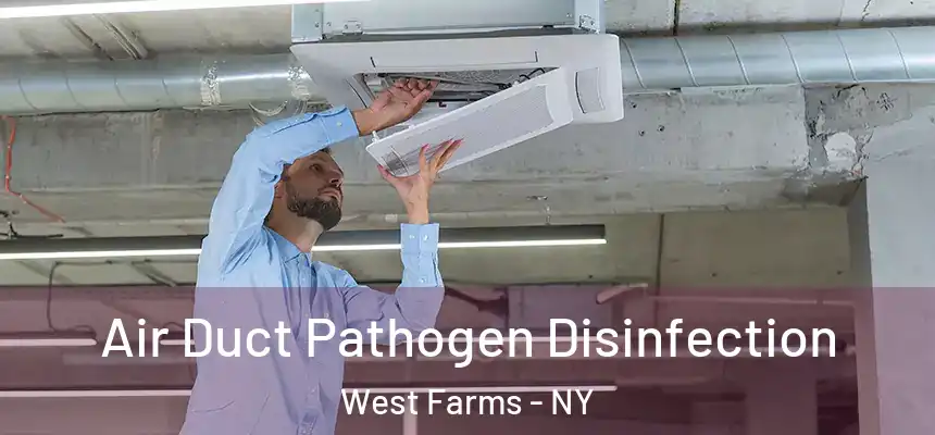 Air Duct Pathogen Disinfection West Farms - NY