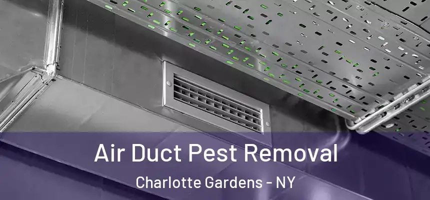 Air Duct Pest Removal Charlotte Gardens - NY