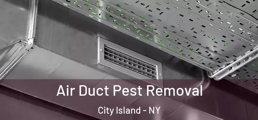 Air Duct Pest Removal City Island - NY