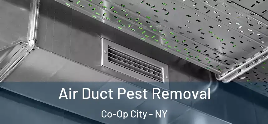 Air Duct Pest Removal Co-Op City - NY