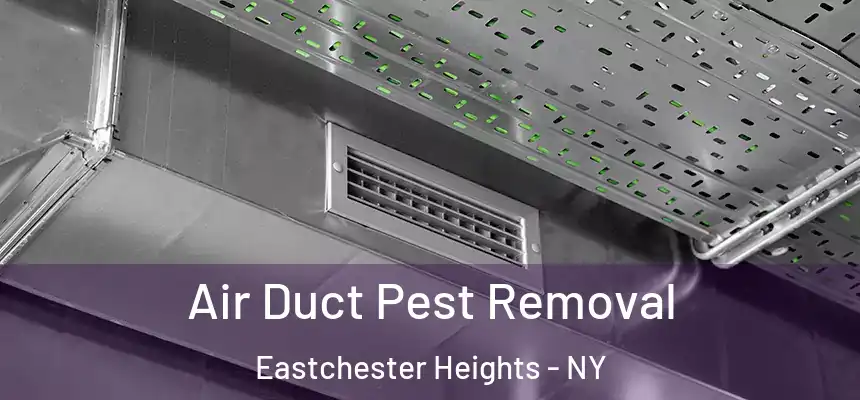 Air Duct Pest Removal Eastchester Heights - NY