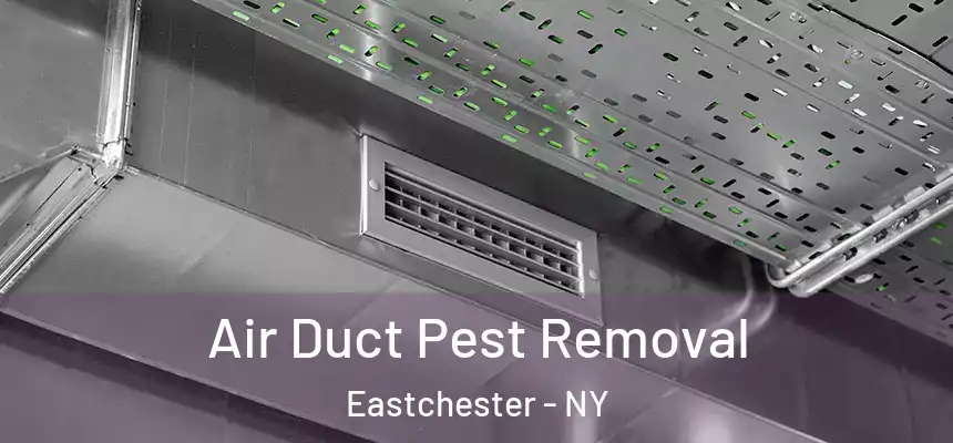 Air Duct Pest Removal Eastchester - NY