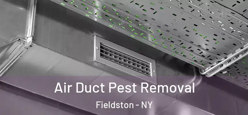 Air Duct Pest Removal Fieldston - NY