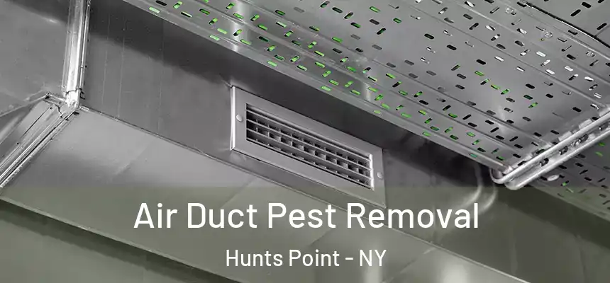  Air Duct Pest Removal Hunts Point - NY