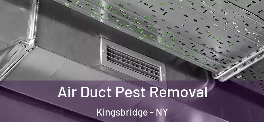  Air Duct Pest Removal Kingsbridge - NY