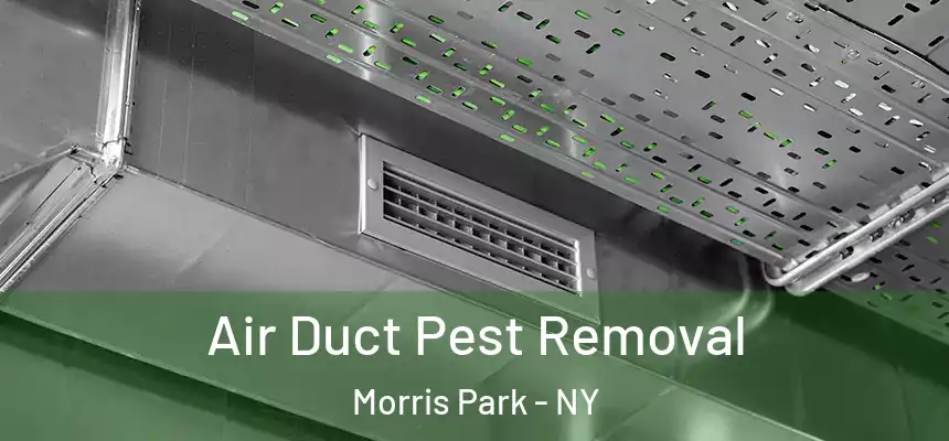 Air Duct Pest Removal Morris Park - NY