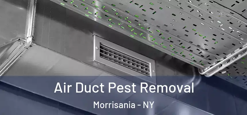 Air Duct Pest Removal Morrisania - NY
