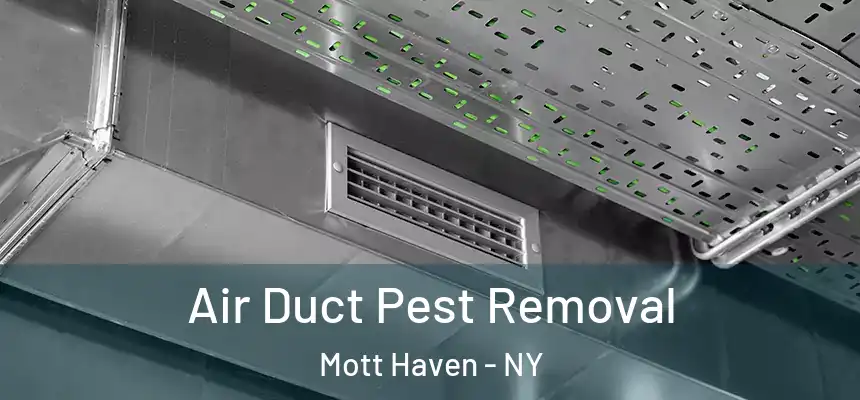 Air Duct Pest Removal Mott Haven - NY
