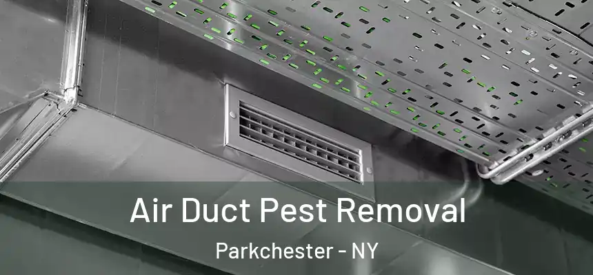 Air Duct Pest Removal Parkchester - NY