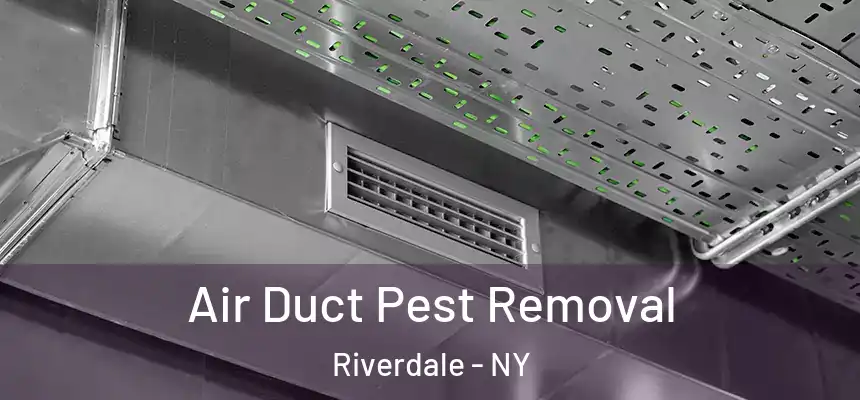 Air Duct Pest Removal Riverdale - NY
