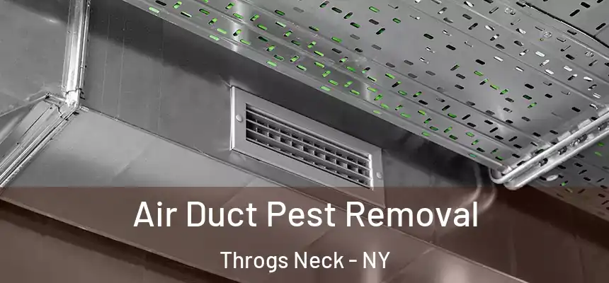 Air Duct Pest Removal Throgs Neck - NY