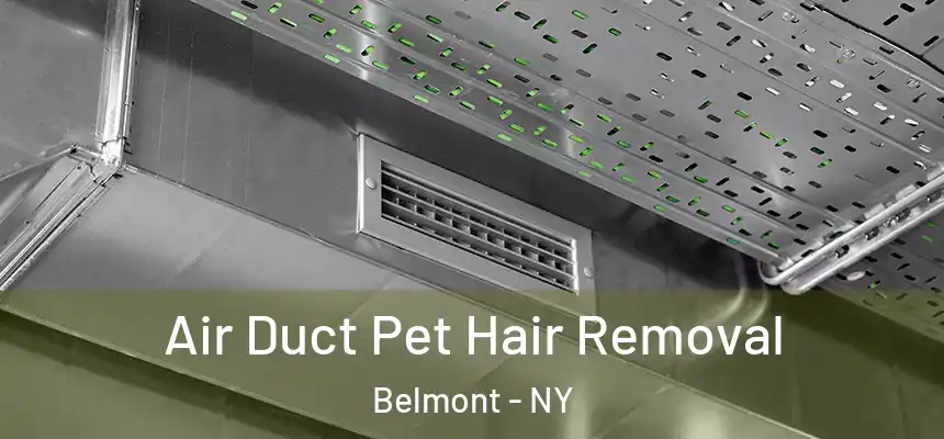 Air Duct Pet Hair Removal Belmont - NY