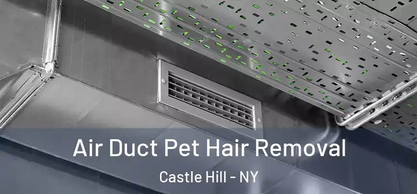 Air Duct Pet Hair Removal Castle Hill - NY