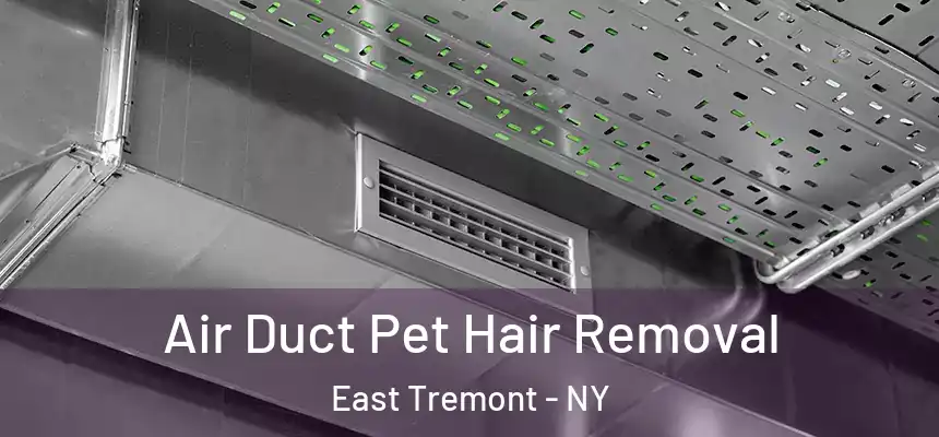 Air Duct Pet Hair Removal East Tremont - NY