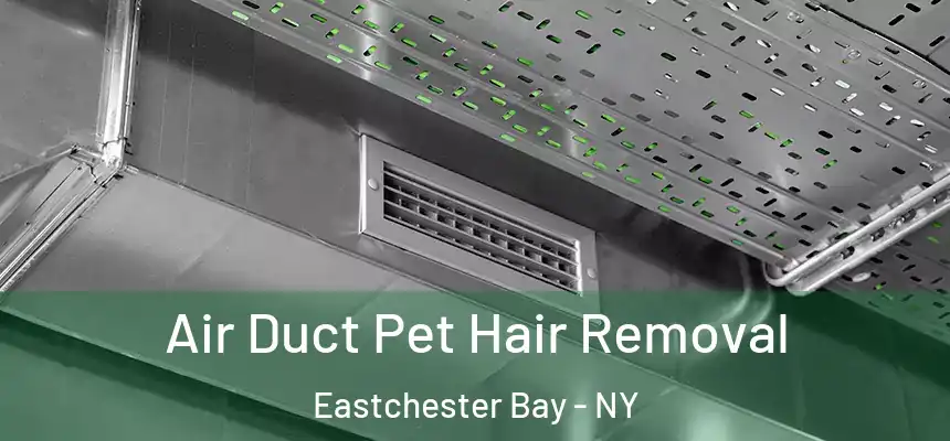 Air Duct Pet Hair Removal Eastchester Bay - NY