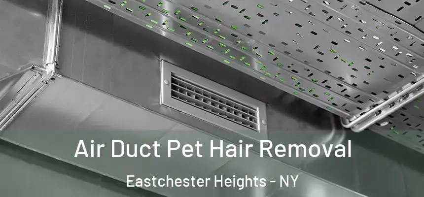 Air Duct Pet Hair Removal Eastchester Heights - NY