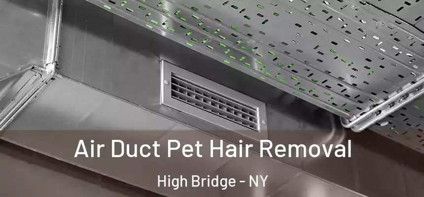  Air Duct Pet Hair Removal High Bridge - NY