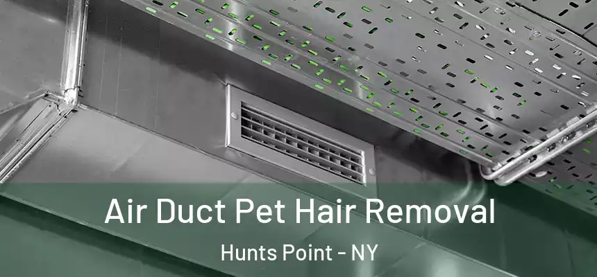 Air Duct Pet Hair Removal Hunts Point - NY