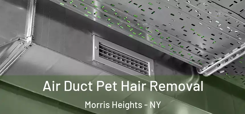 Air Duct Pet Hair Removal Morris Heights - NY