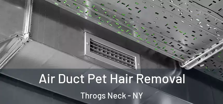  Air Duct Pet Hair Removal Throgs Neck - NY