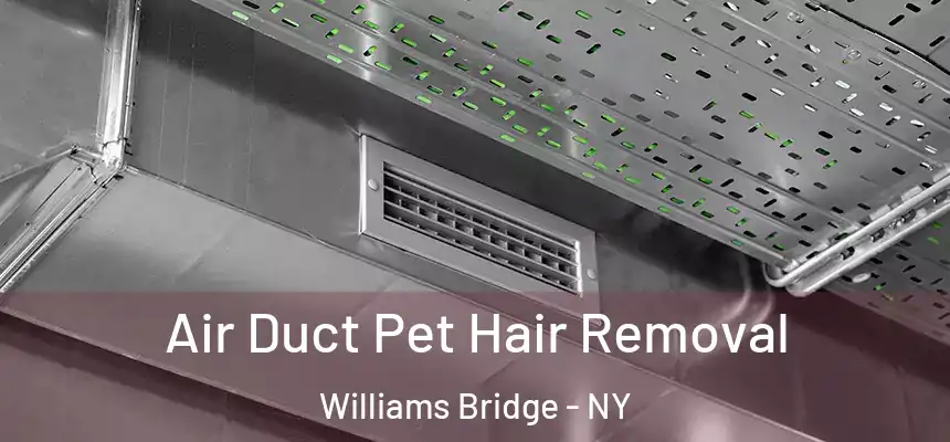 Air Duct Pet Hair Removal Williams Bridge - NY