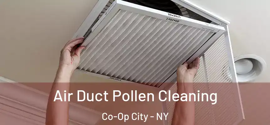Air Duct Pollen Cleaning Co-Op City - NY