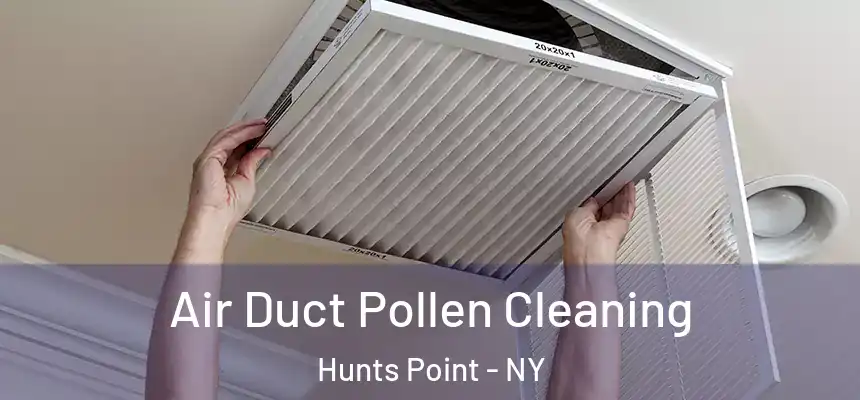  Air Duct Pollen Cleaning Hunts Point - NY