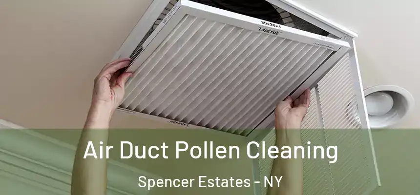  Air Duct Pollen Cleaning Spencer Estates - NY