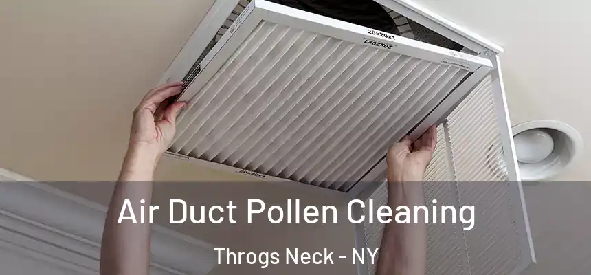 Air Duct Pollen Cleaning Throgs Neck - NY